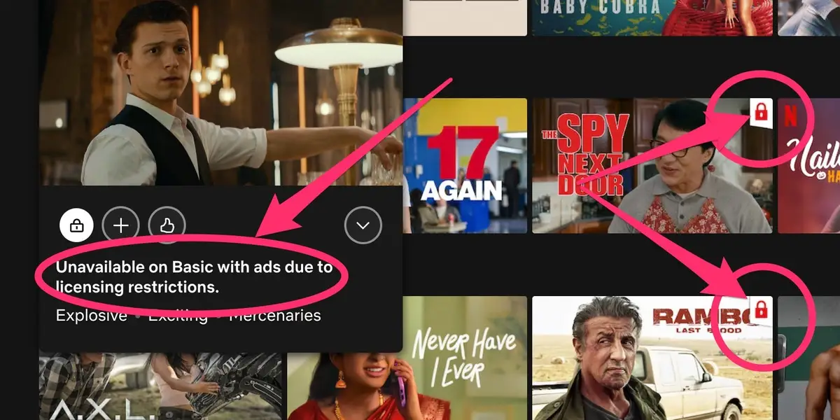 Netflix : Entertainment or Really Good Spying?