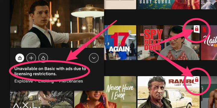 Netflix : Entertainment or Really Good Spying?